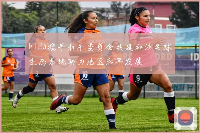 FIFA携手和平委员会共建加沙足球生态系统助力地区和平发展